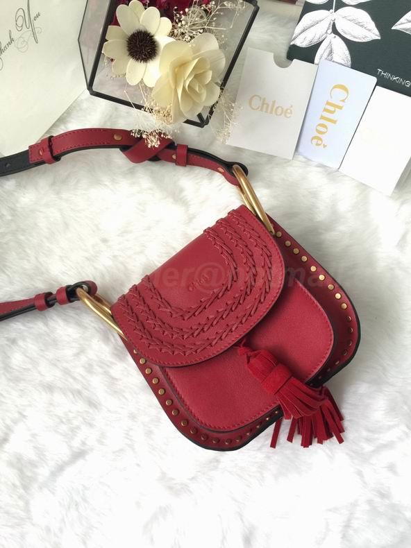 Chloe Handbags 53